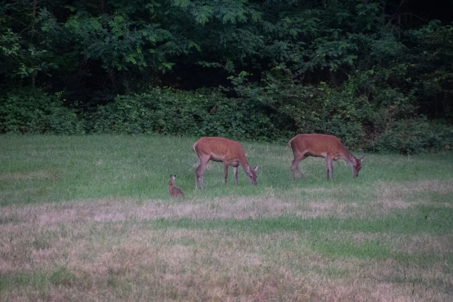 Momento quotidiano che richiama calma, ordine e ristrutturazione della casa